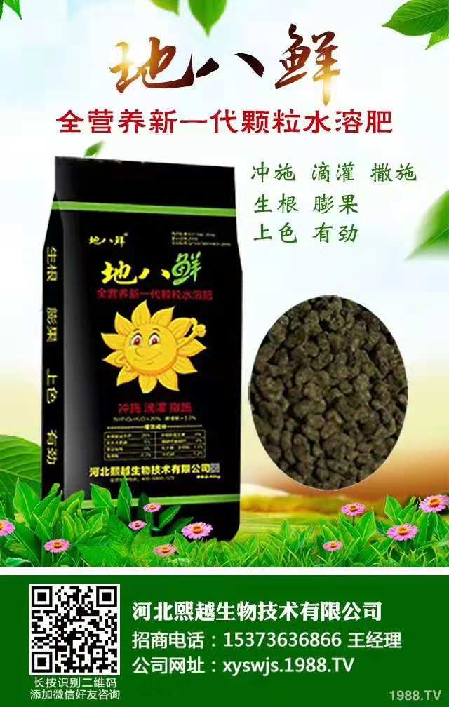 含腐殖酸颗粒水溶肥