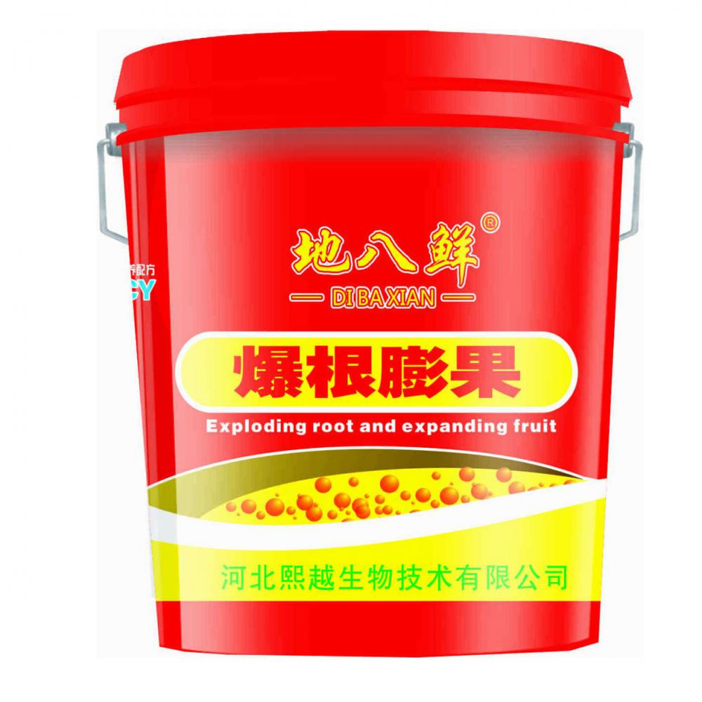 爆根膨果