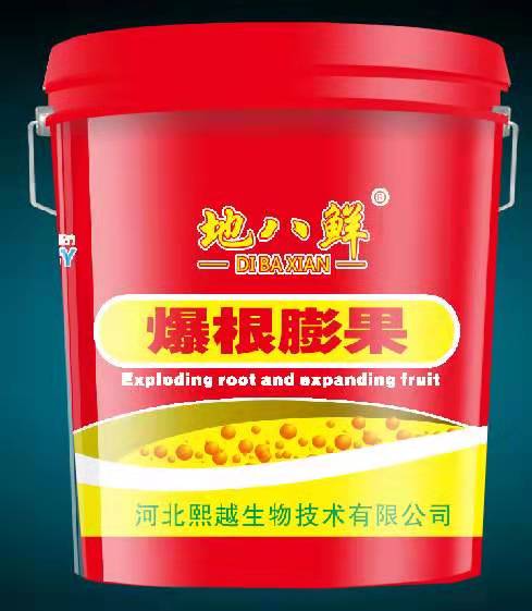 爆根膨果